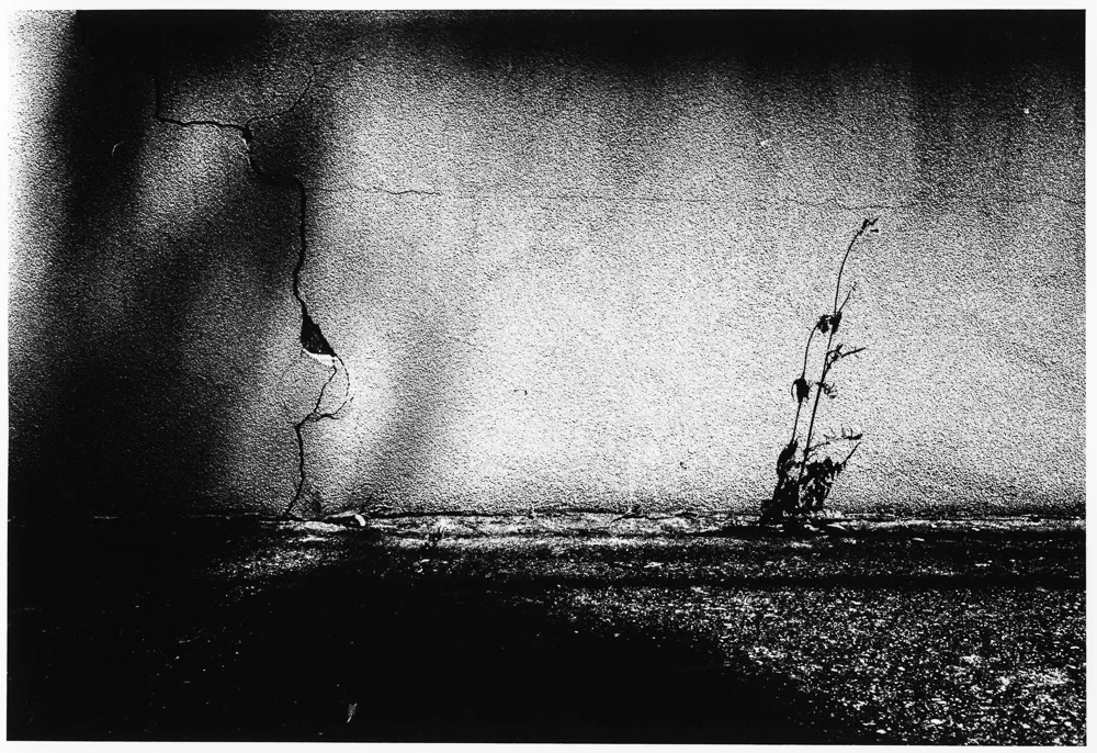 On being a photographer
