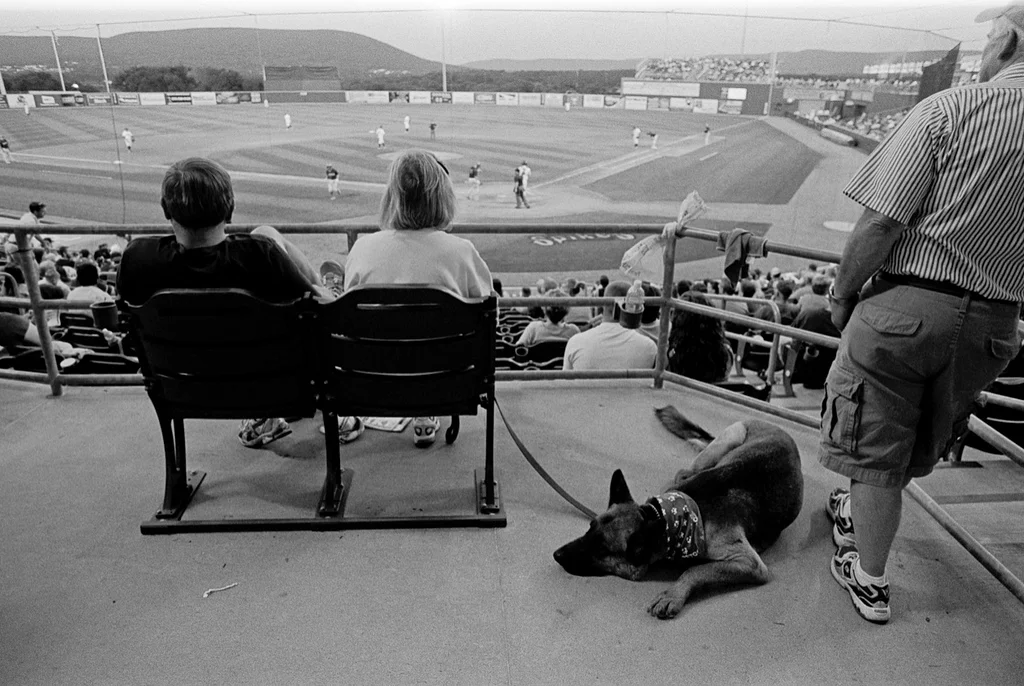 Dan Domme - Burrito Massacre