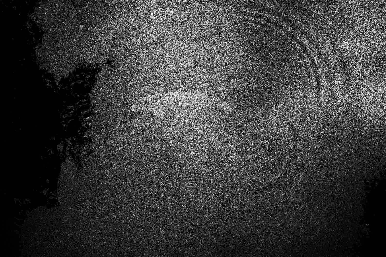 Self publishing as an extension of film photography