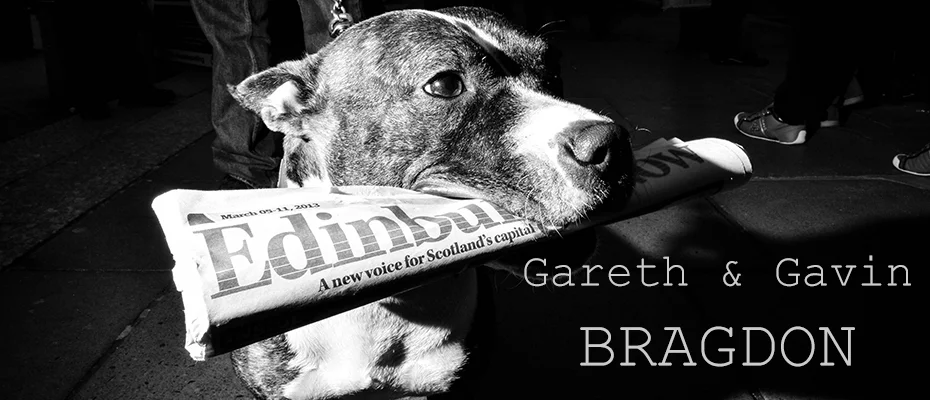 Bragdon-Header.jpg