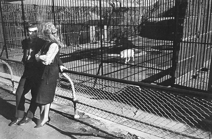 winogrand_16.jpg