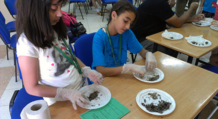 Students dissect owl pellets to find bones, fur and other undigestibles to determine what the owls are eating.