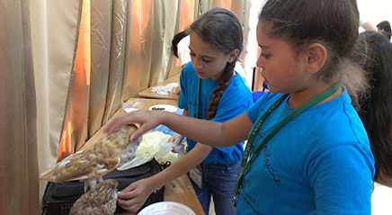 Fifth-graders bond with a stuffed falcon and owl that came along for camp today.