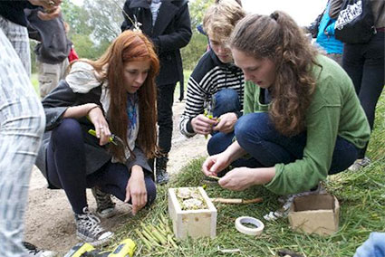 Building an "Insect Hotel"