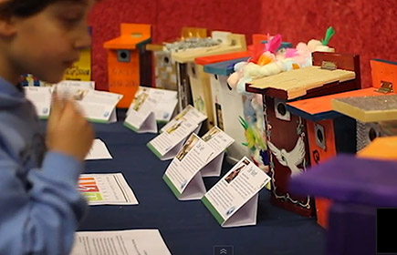 Student's bird boxes