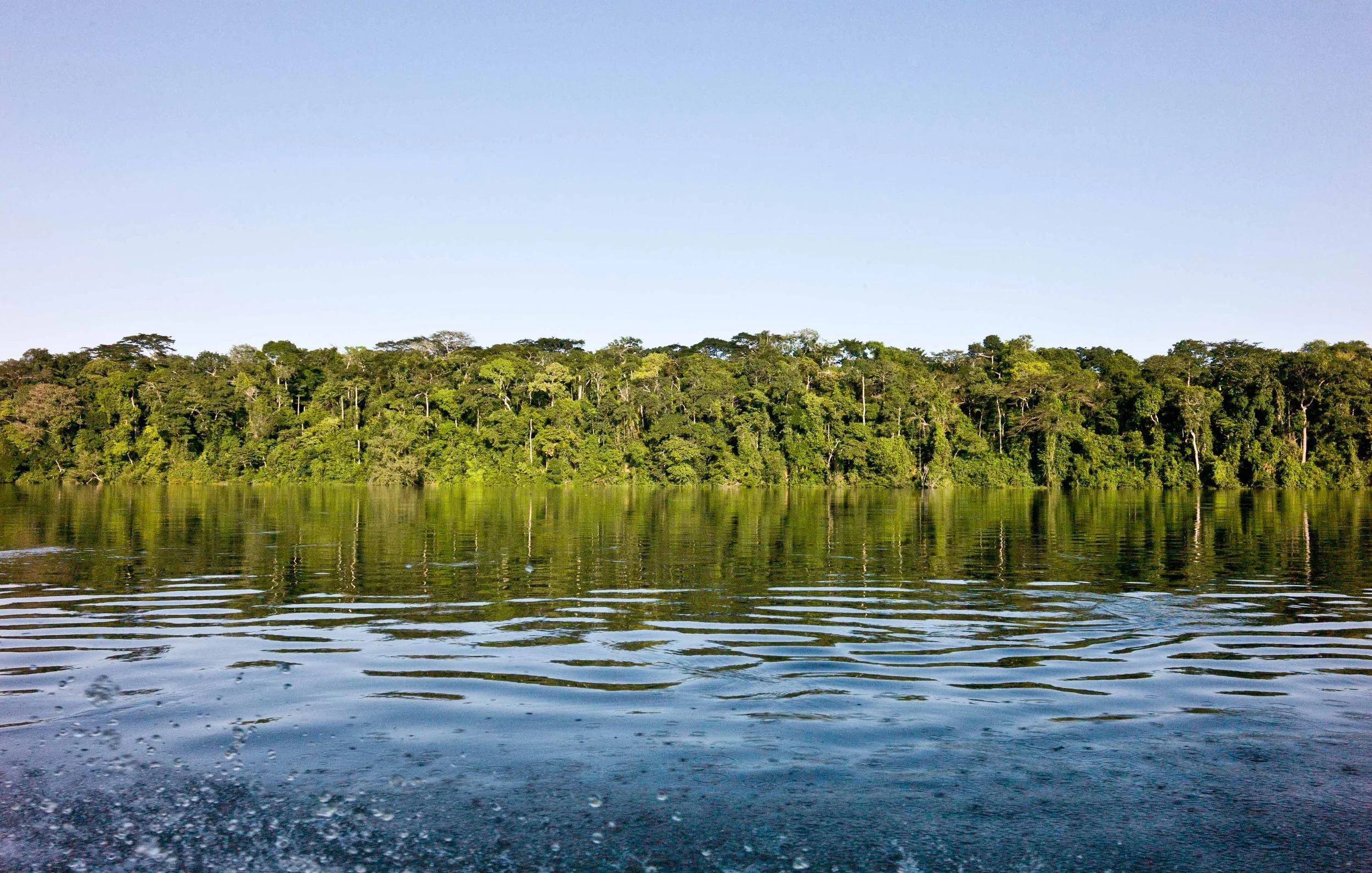 Dzangha river (Congo, 2014)
