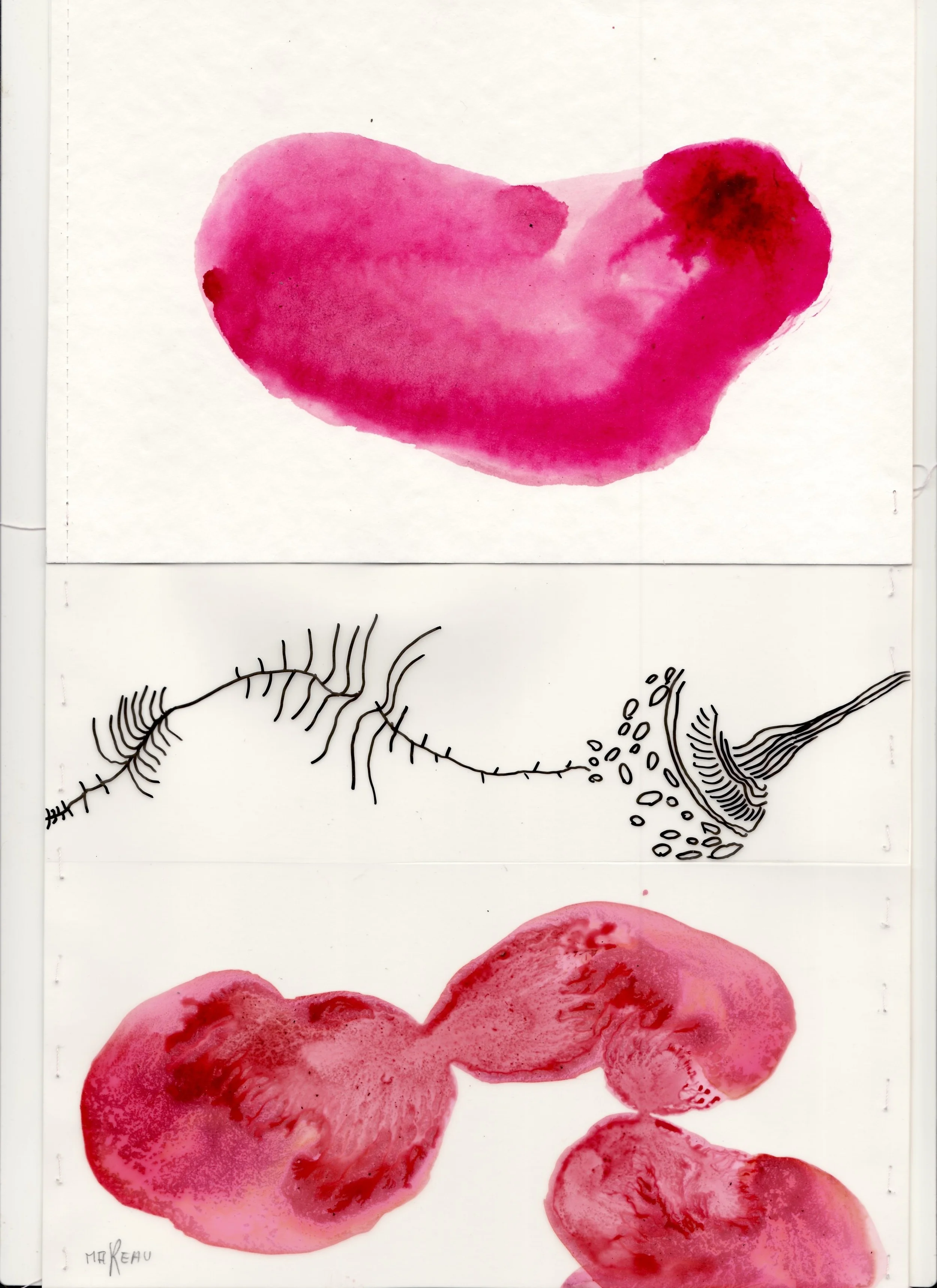 Radish-skin (2015)