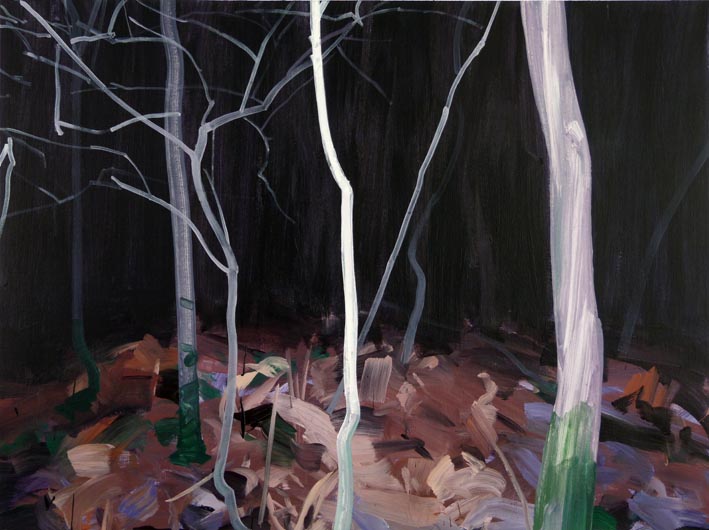  Forêt 13 acrylique sur toile 97 x 130 cm 
