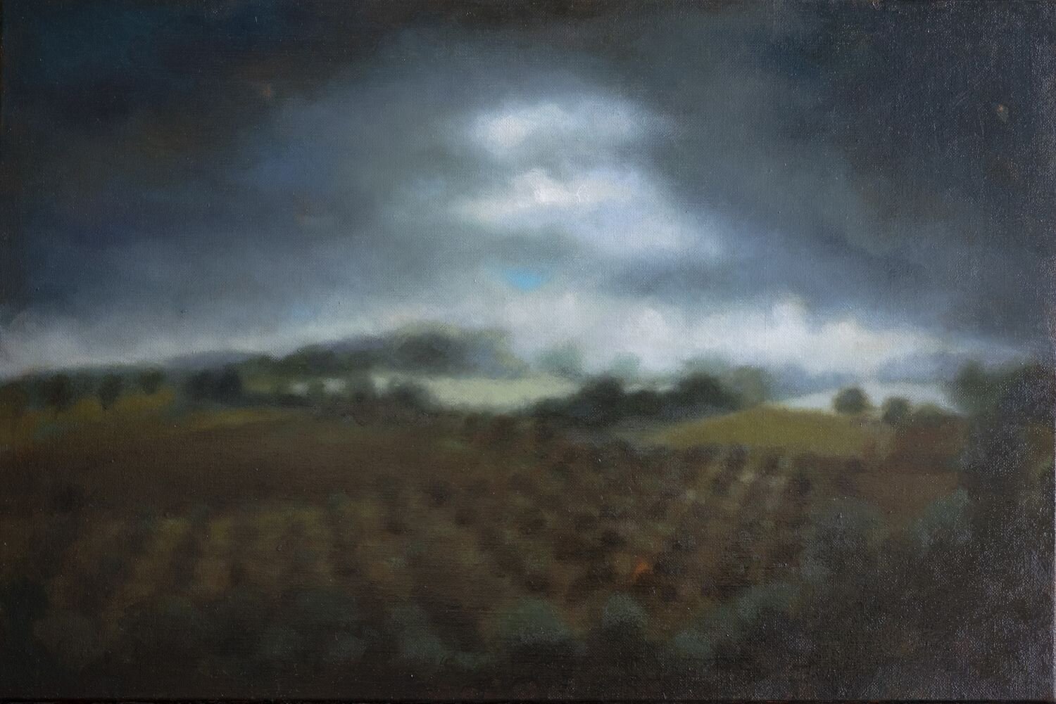  Périgord noir Huile sur toile 40 x 60 cm 