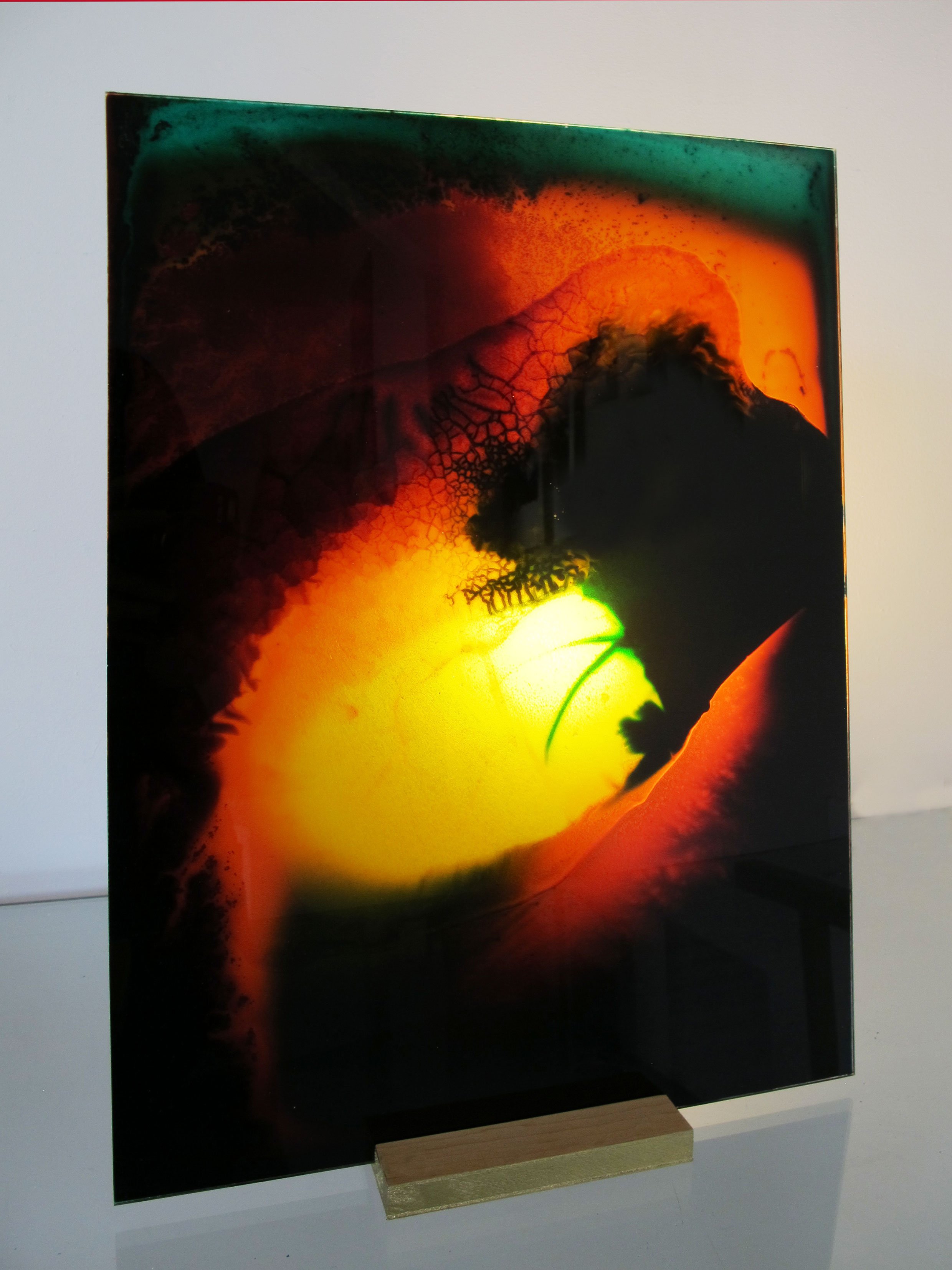  PLASMA VI (2022) Peinture et techniques mixtes sur plexiglas sur socle bois érable 42 x 29,7 cm 650 euros 