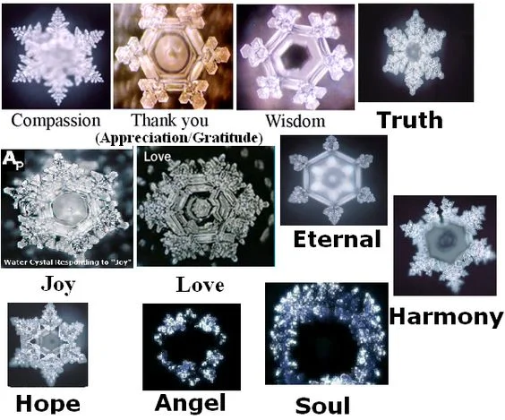 Dr Emoto's work reveals that water responds to vibration generated by various sources and various tones. www.masuru-emoto.com