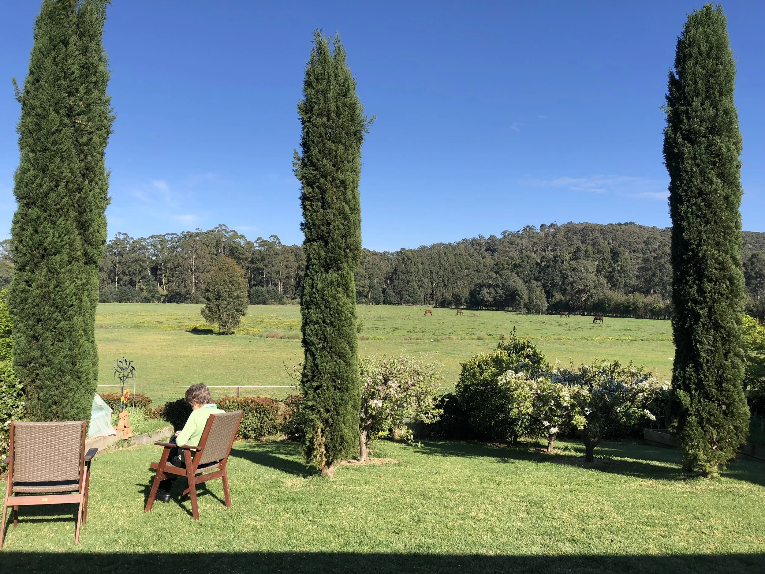 Healesville 1.jpeg