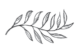 Spiritually Gifted branch image.png