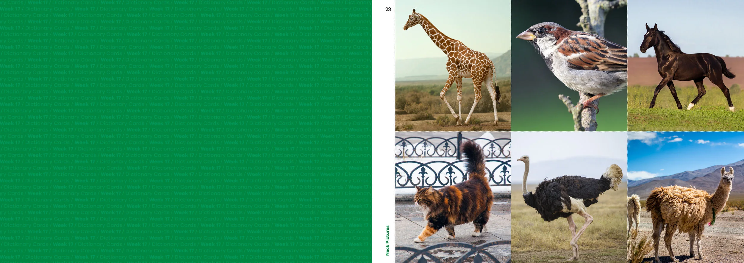 BT_PACT_Week 17_PRESS12.jpg