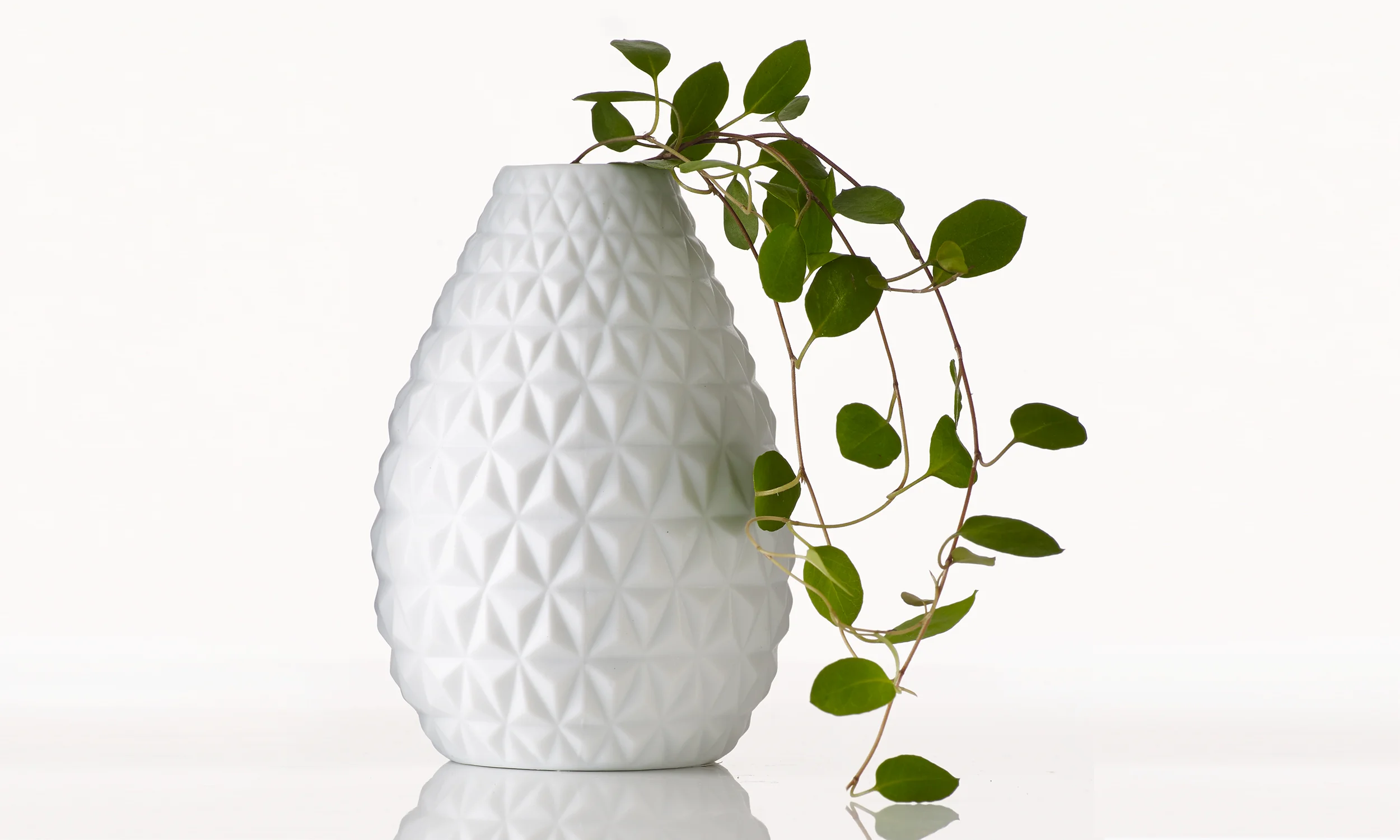vase-2_plant.jpg
