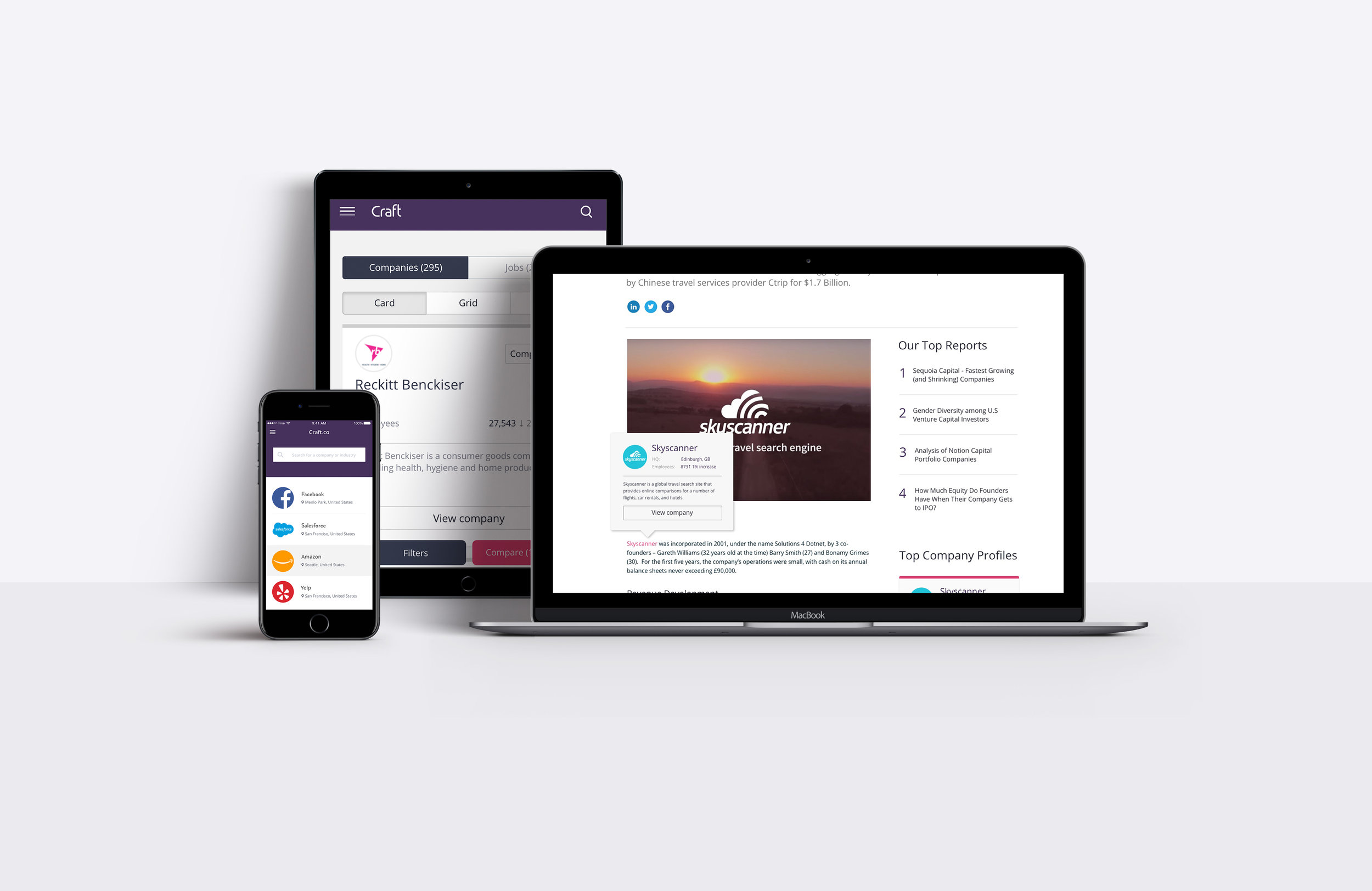 Craft.co is a machine-learning powered data and analytics platform. I was hired to improve the UX of their reports pages, search feature, company directory and create a consistent style guide.