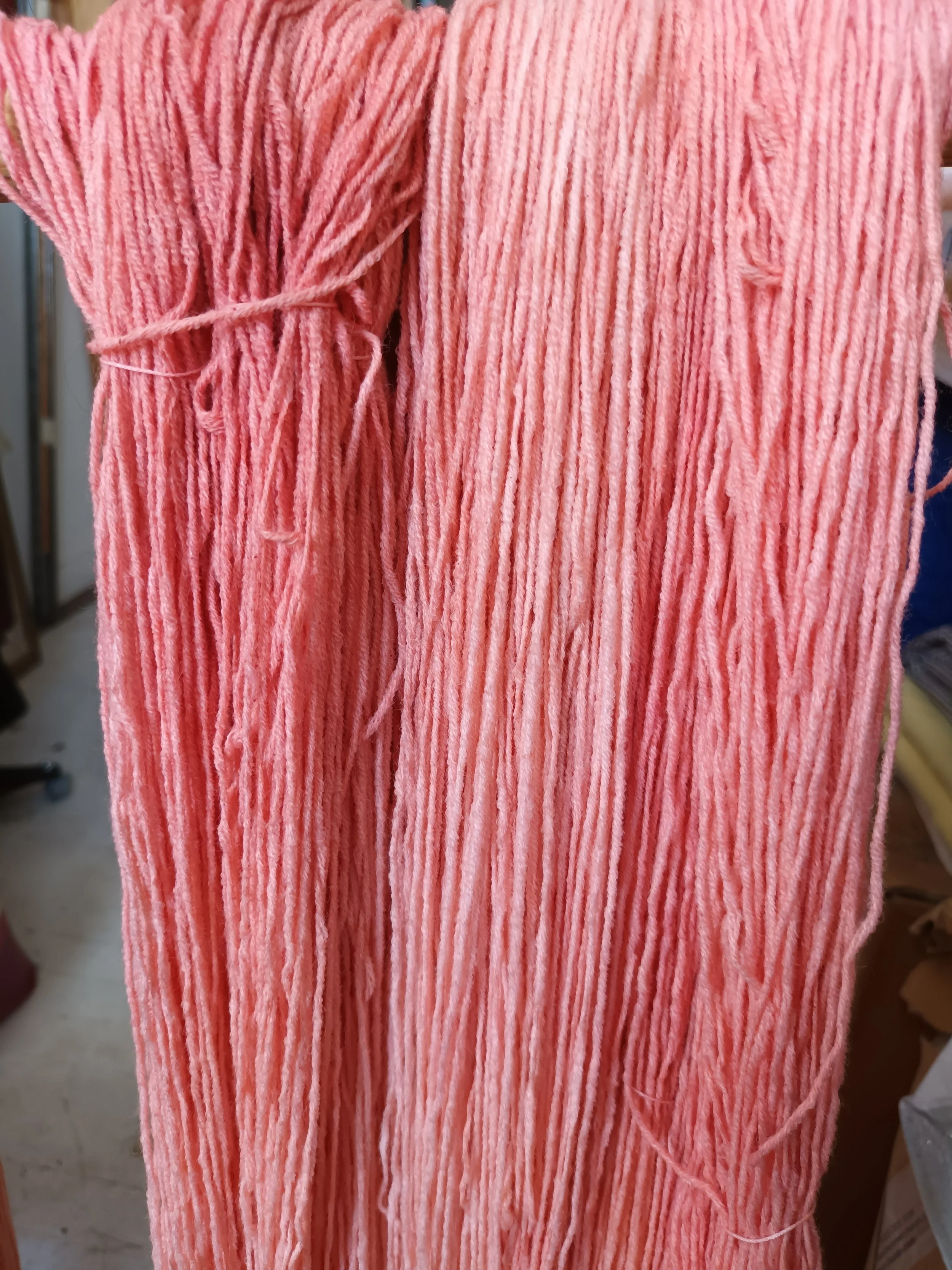20230113_121812.jpg