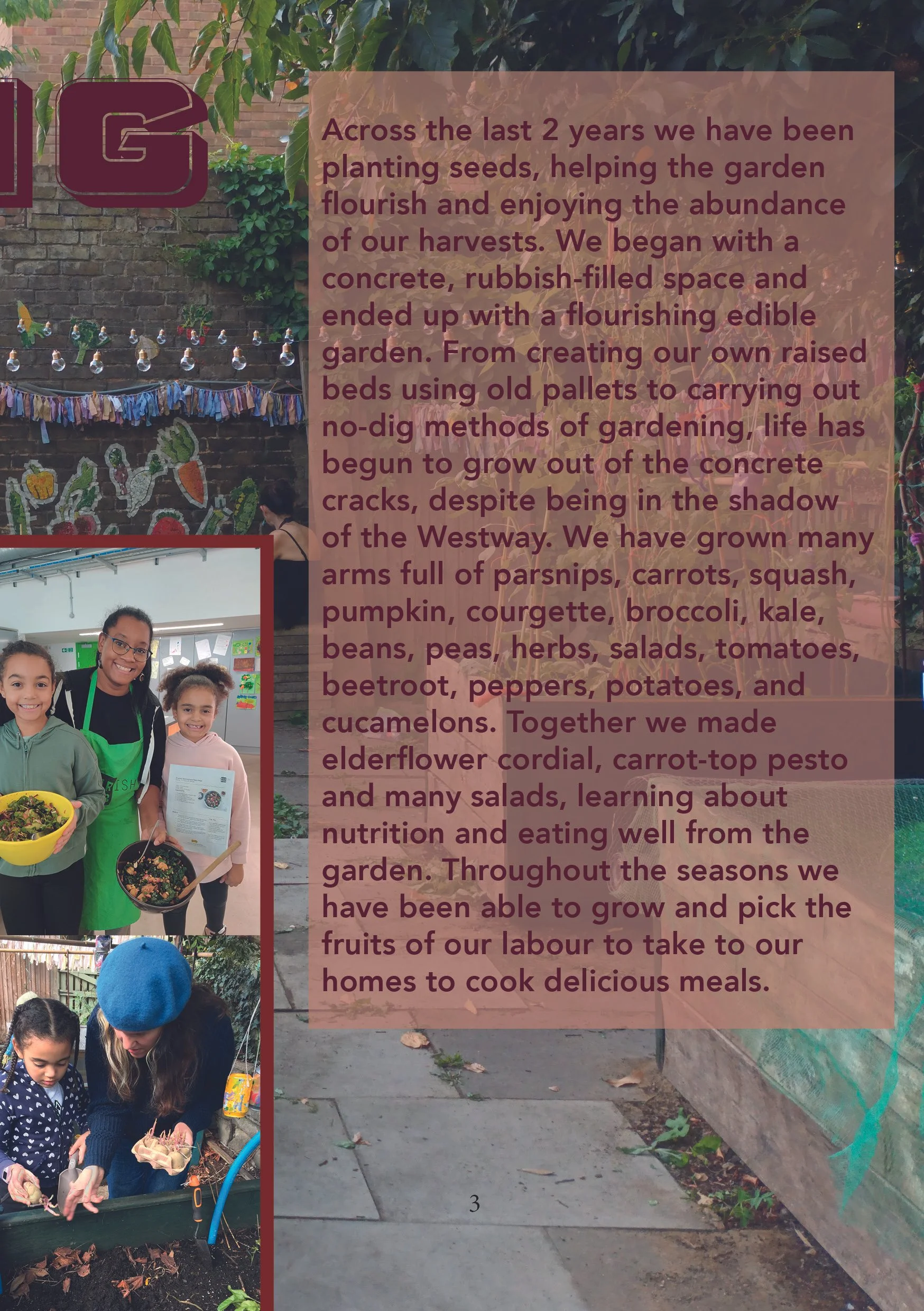 wherewegrowzine5.jpg