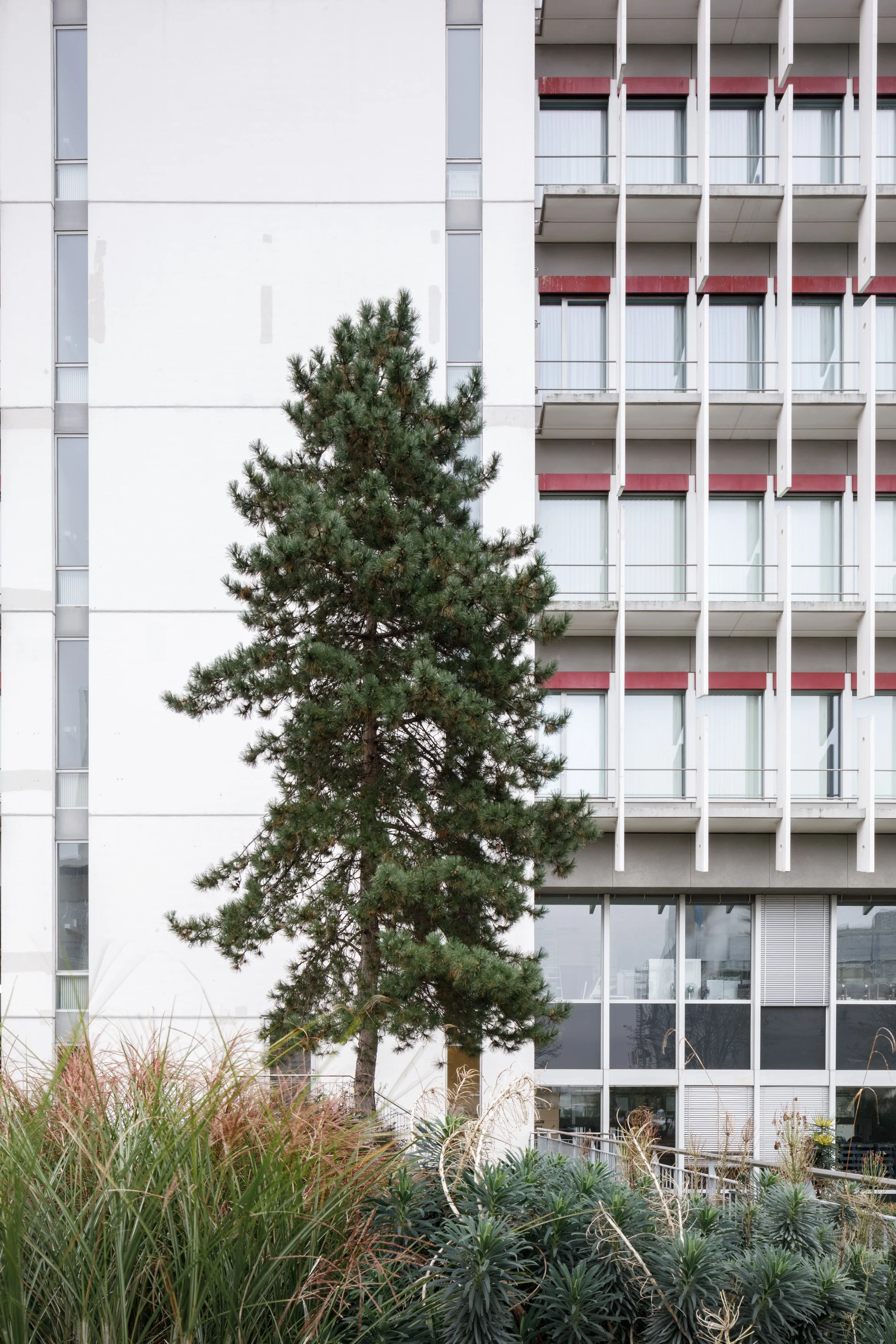 ©mariapatzschke_Novartis Campus_241104_06.jpg