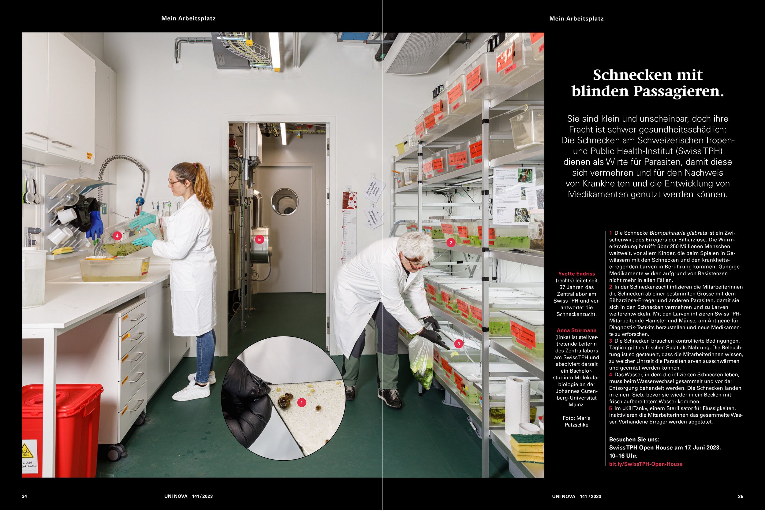 UNI NOVA – Das Wissenschaftsmagazin der Universität Basel - Krebs (1/2023)