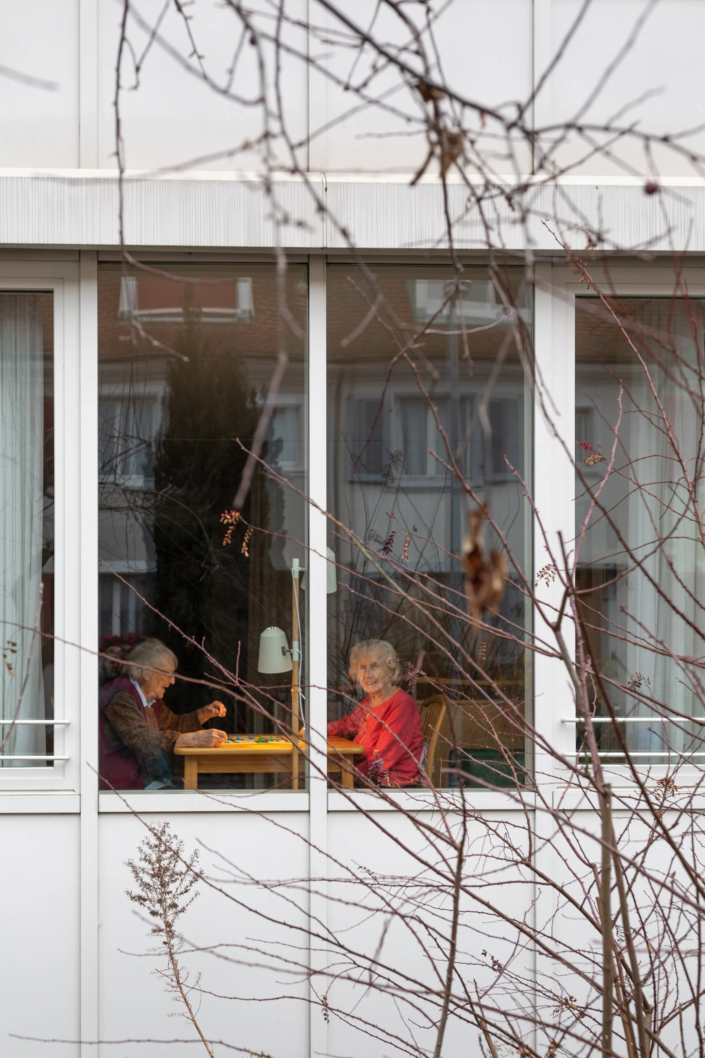 Blick durch ein Fenster auf zwei ältere Frauen, die im Innenraum Schach spielen. Die Pflanzen im Vordergrund sind nackt und deuten auf die Jahreszeit Winter oder Frühling hin.