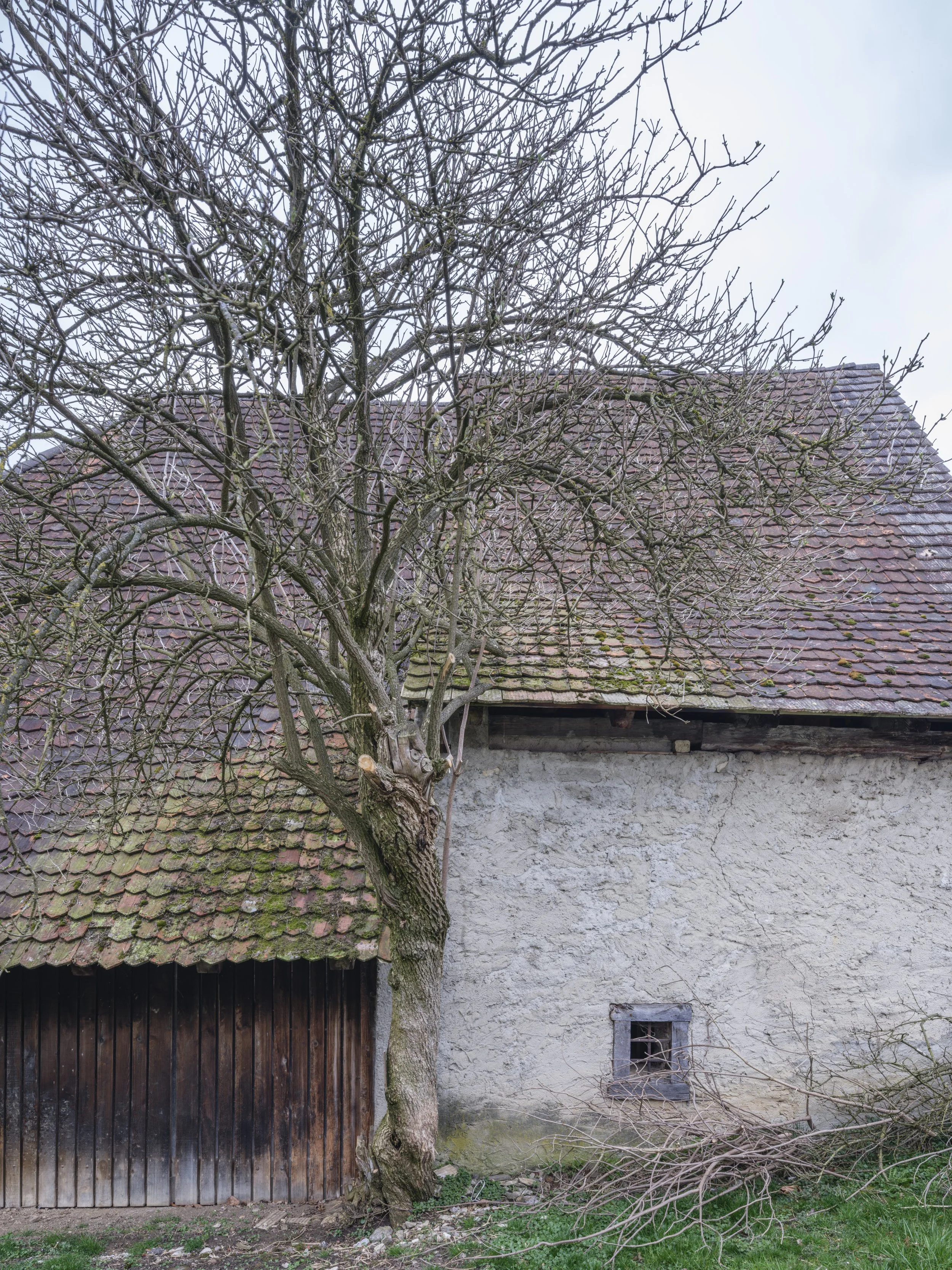 ©mariapatzschke_Ständerhaus Buus_250315_11.jpg