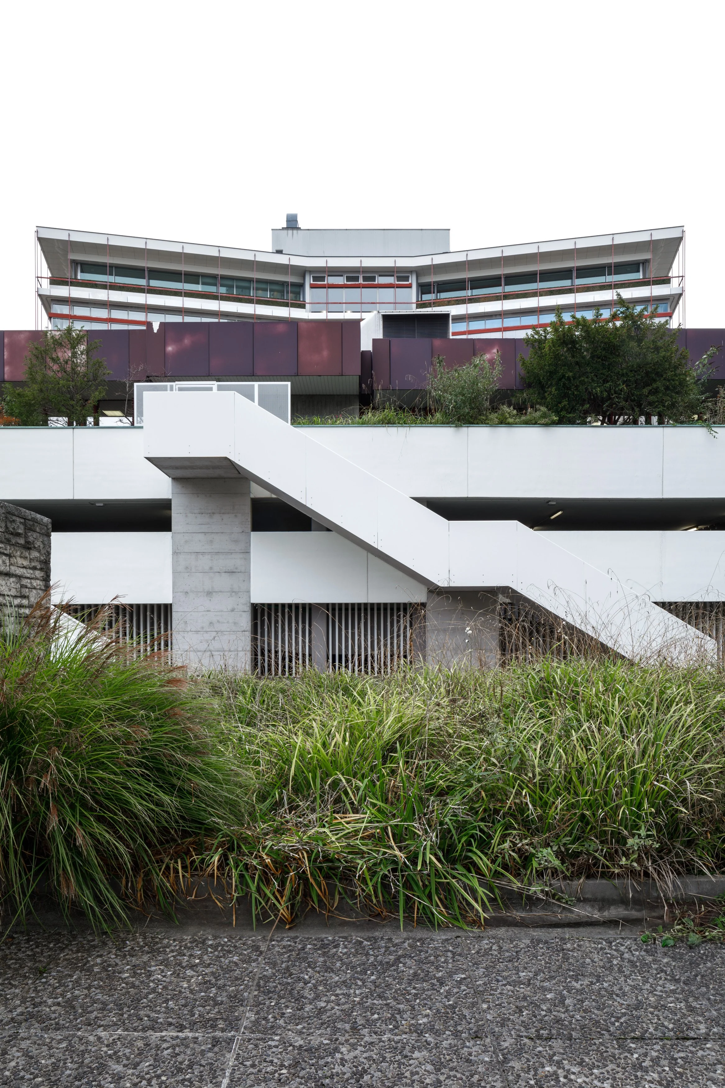 ©mariapatzschke_Novartis Campus_241104_05.jpg