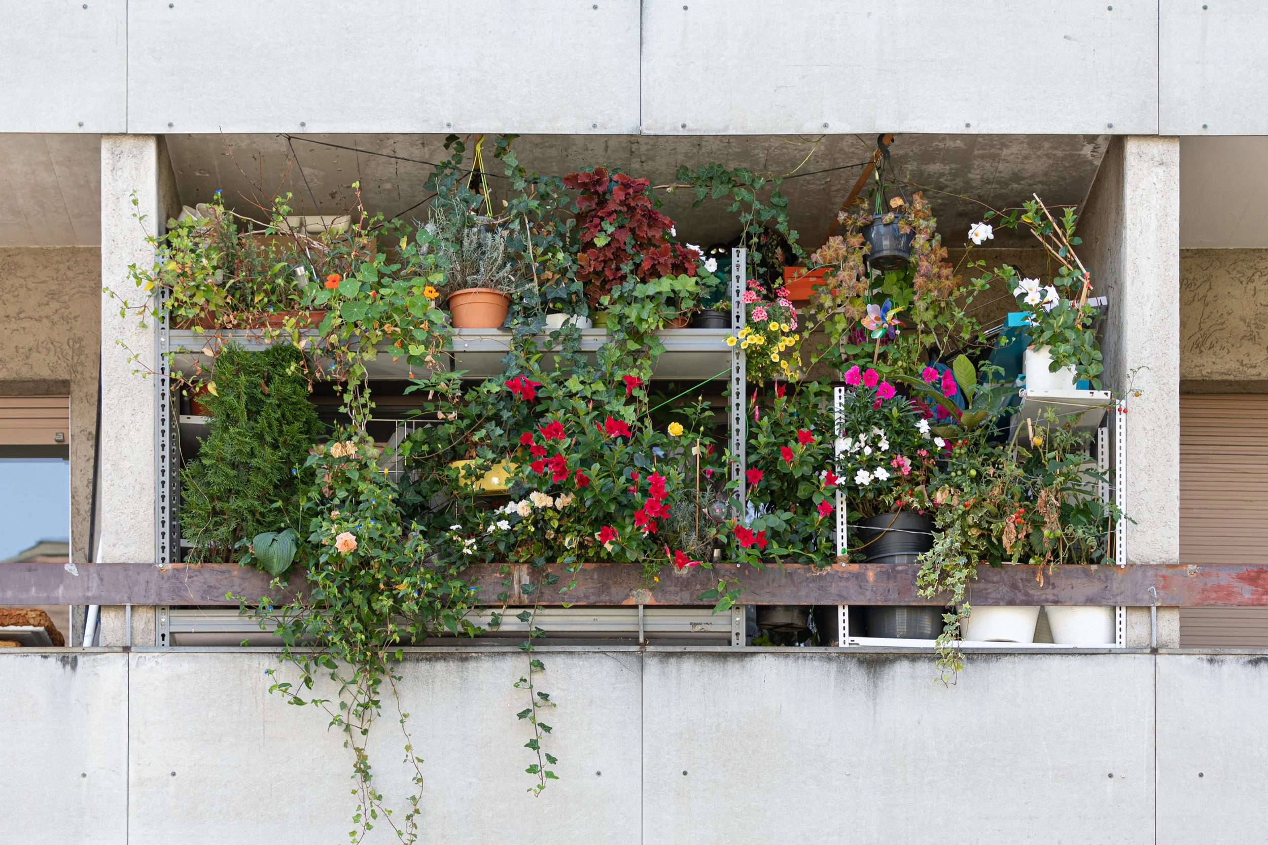 Mehrstöckiger Balkon mit zahlreichen Topfpflanzen und Blumentöpfen, die unterschiedlich große und bunte Blumen und grünes Laub tragen, an einer modernen, grauen Gebäudefassade.