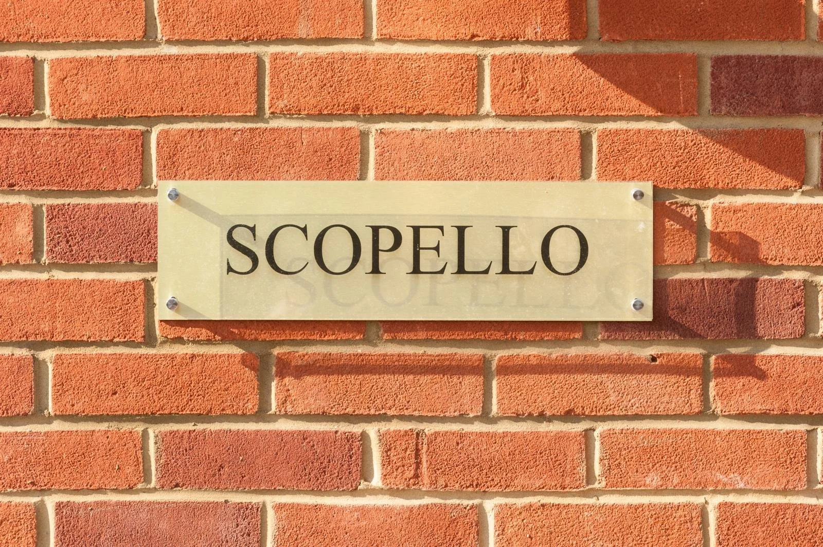 WhatsApp Image 2024-06-03 at 21.24.17 (5).jpeg