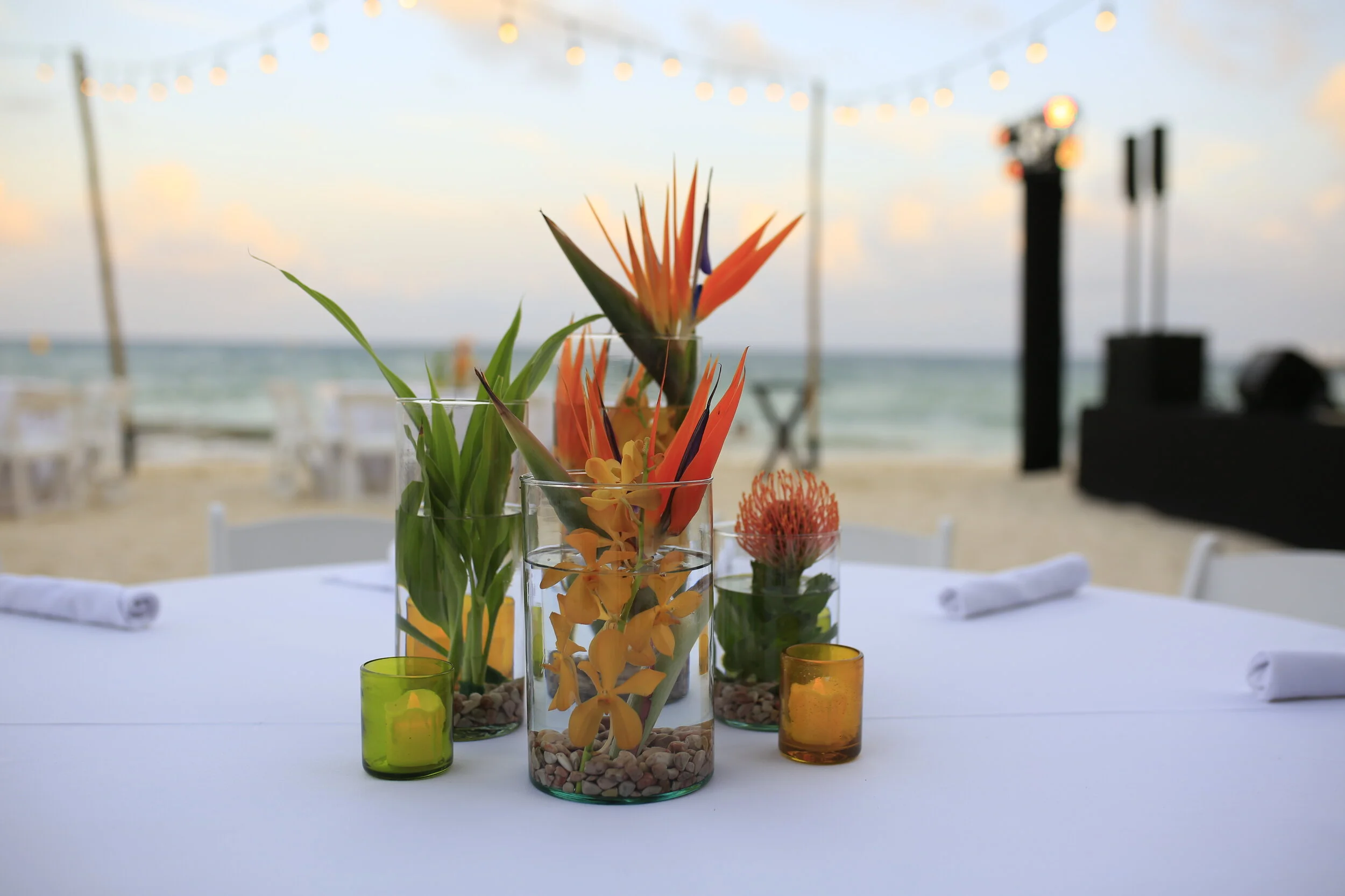 2019 Master Sales Leader (MSL) Incentive Trip