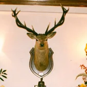 A Short Military History of John (Jock) McStay