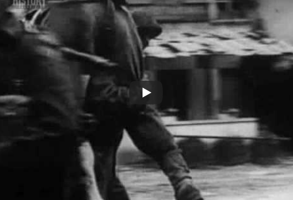 D-Day Dodgers of Canada 