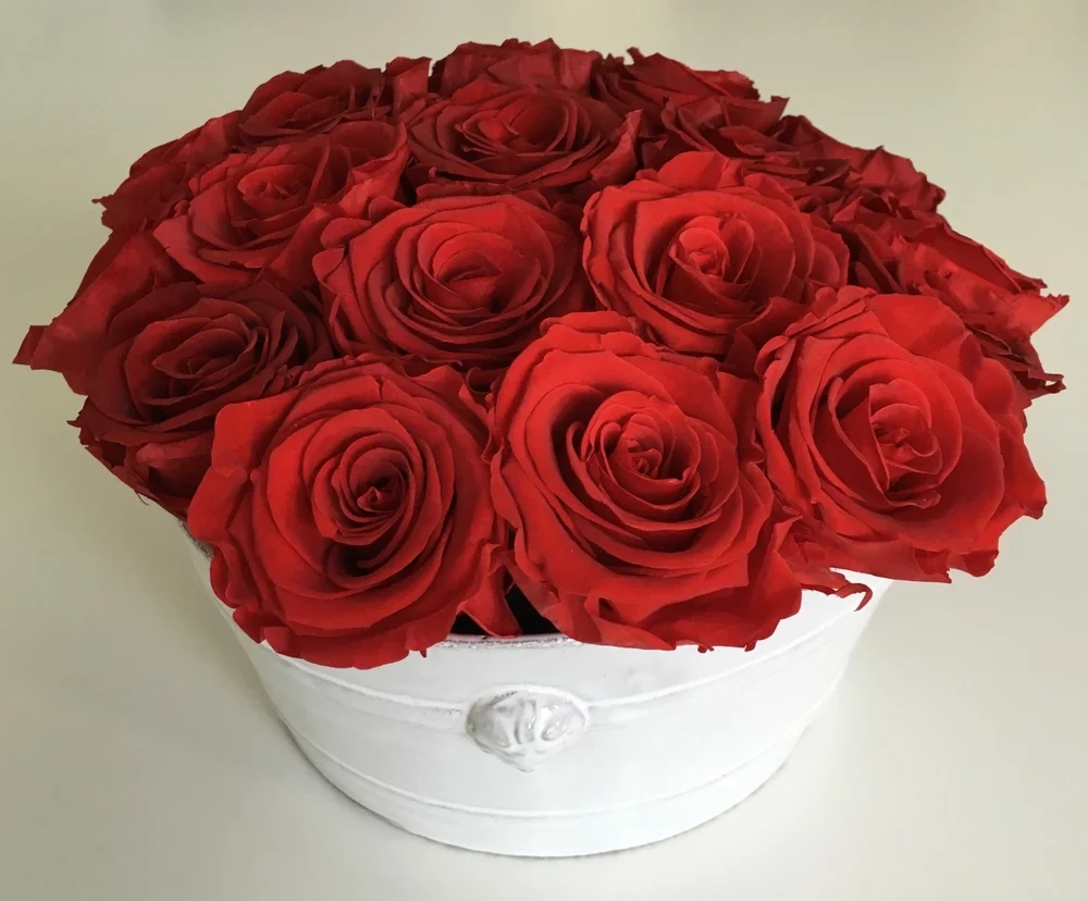 Hotels Hospitality Infiniblooms