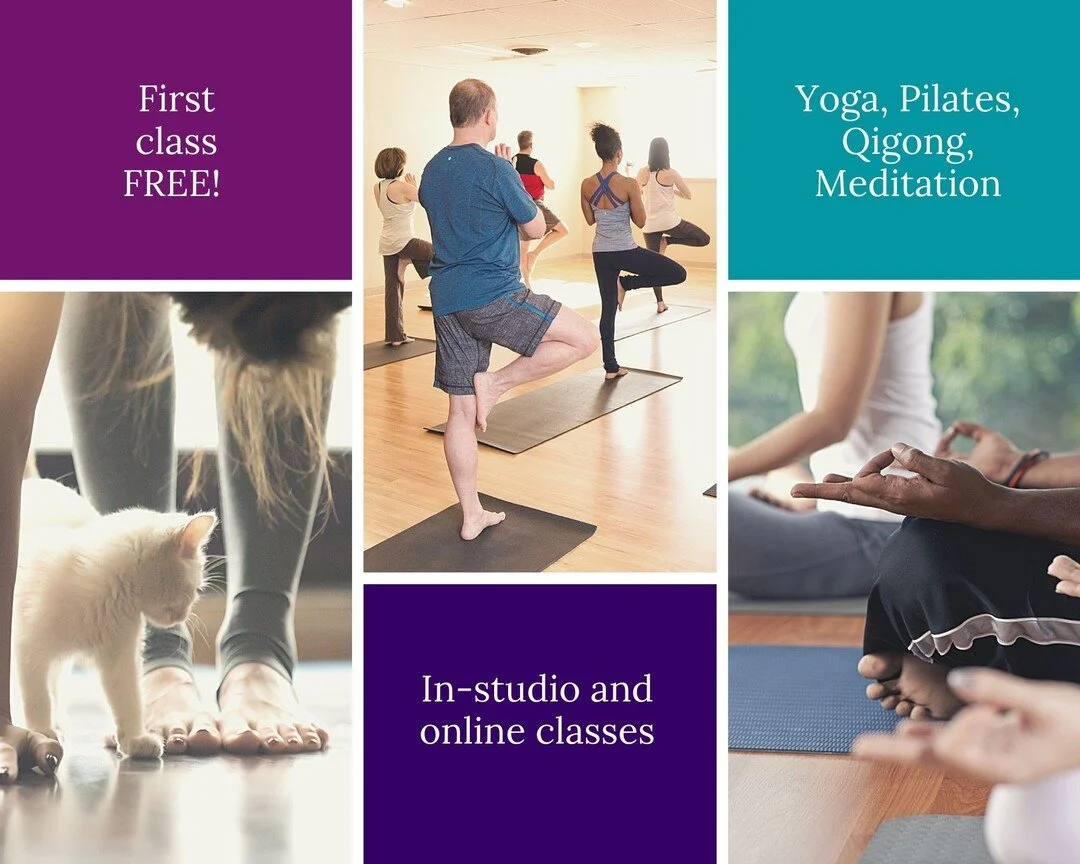 the Yoga Center of Columbia