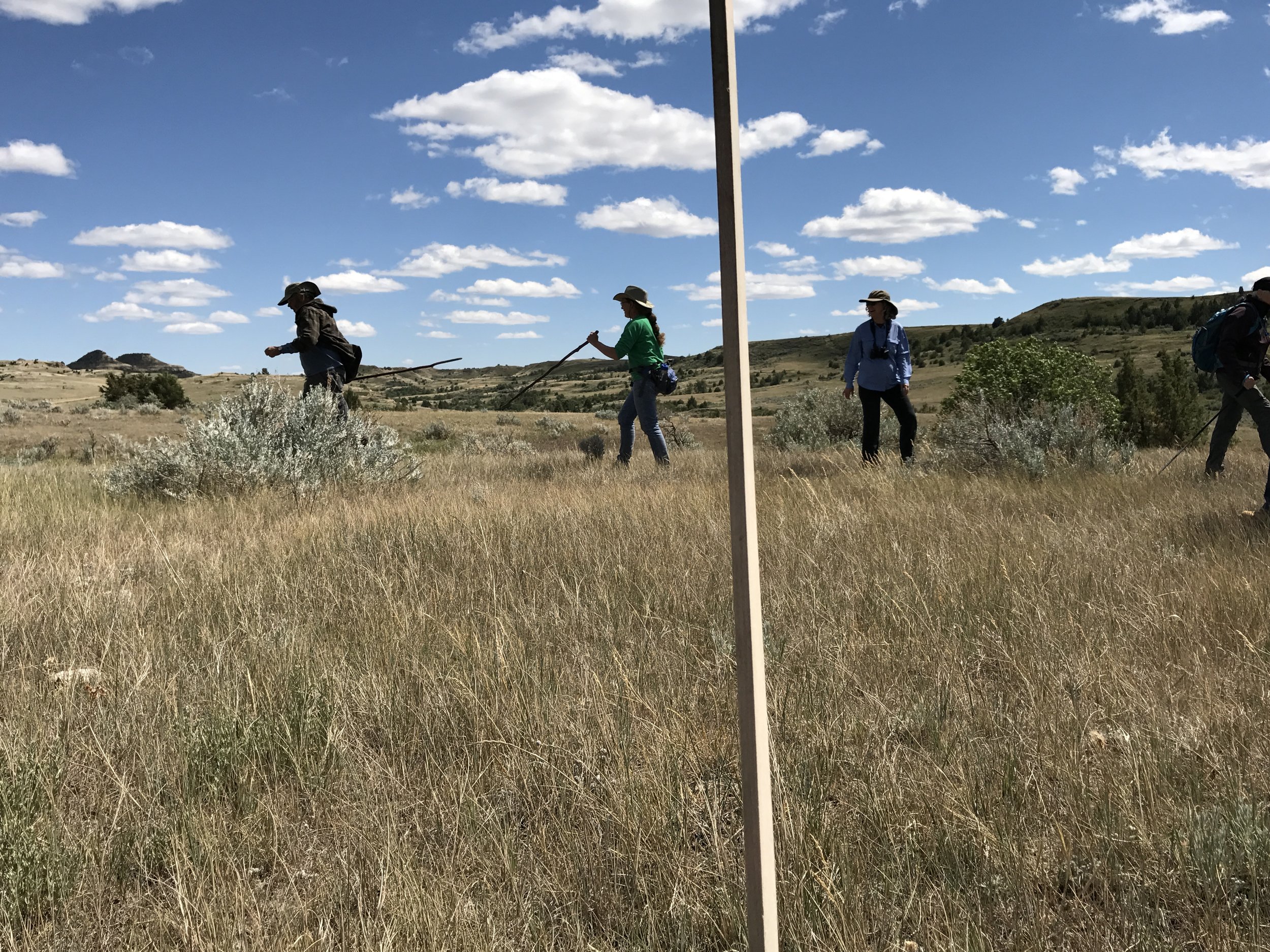 Searching for well pad corner stakes.