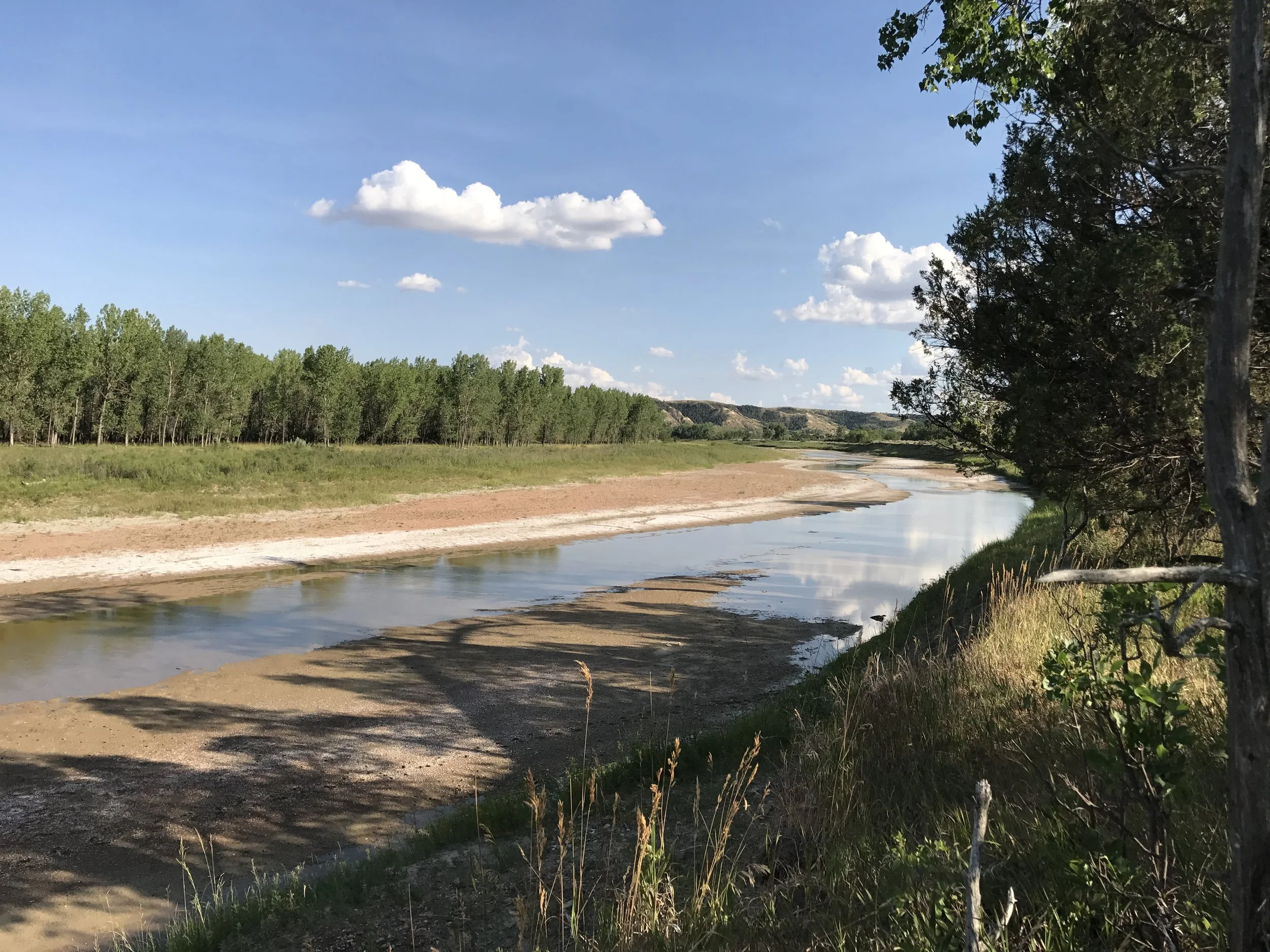 2017 BCA Annual Meeting