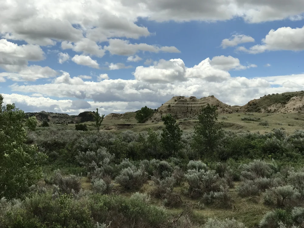 Southern Badlands Adventure — Badlands Conservation Alliance
