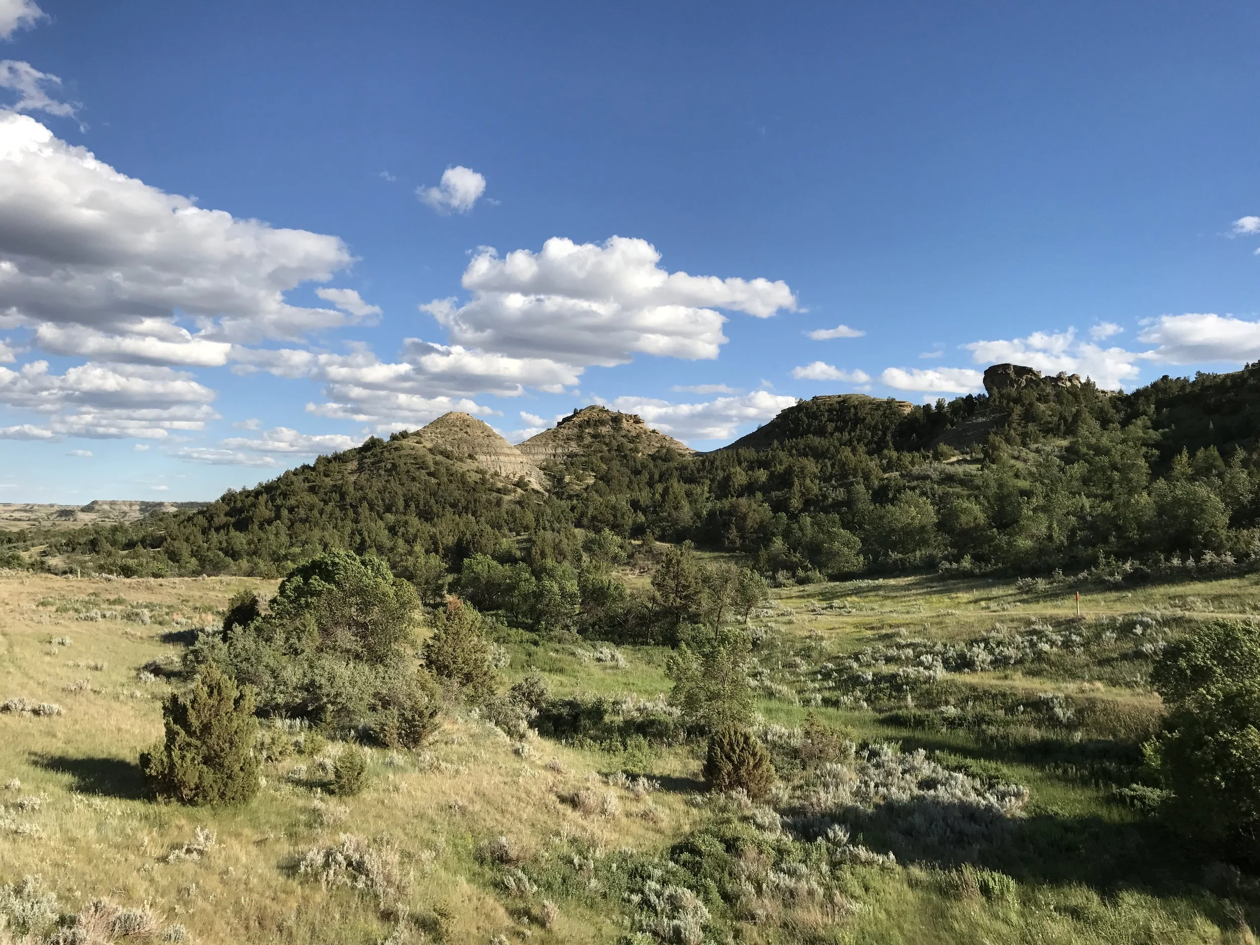 badlands 3ED 英語 MTG Badlands 英語 3ED リバイズド デュアルランド MTG Badlands 英語