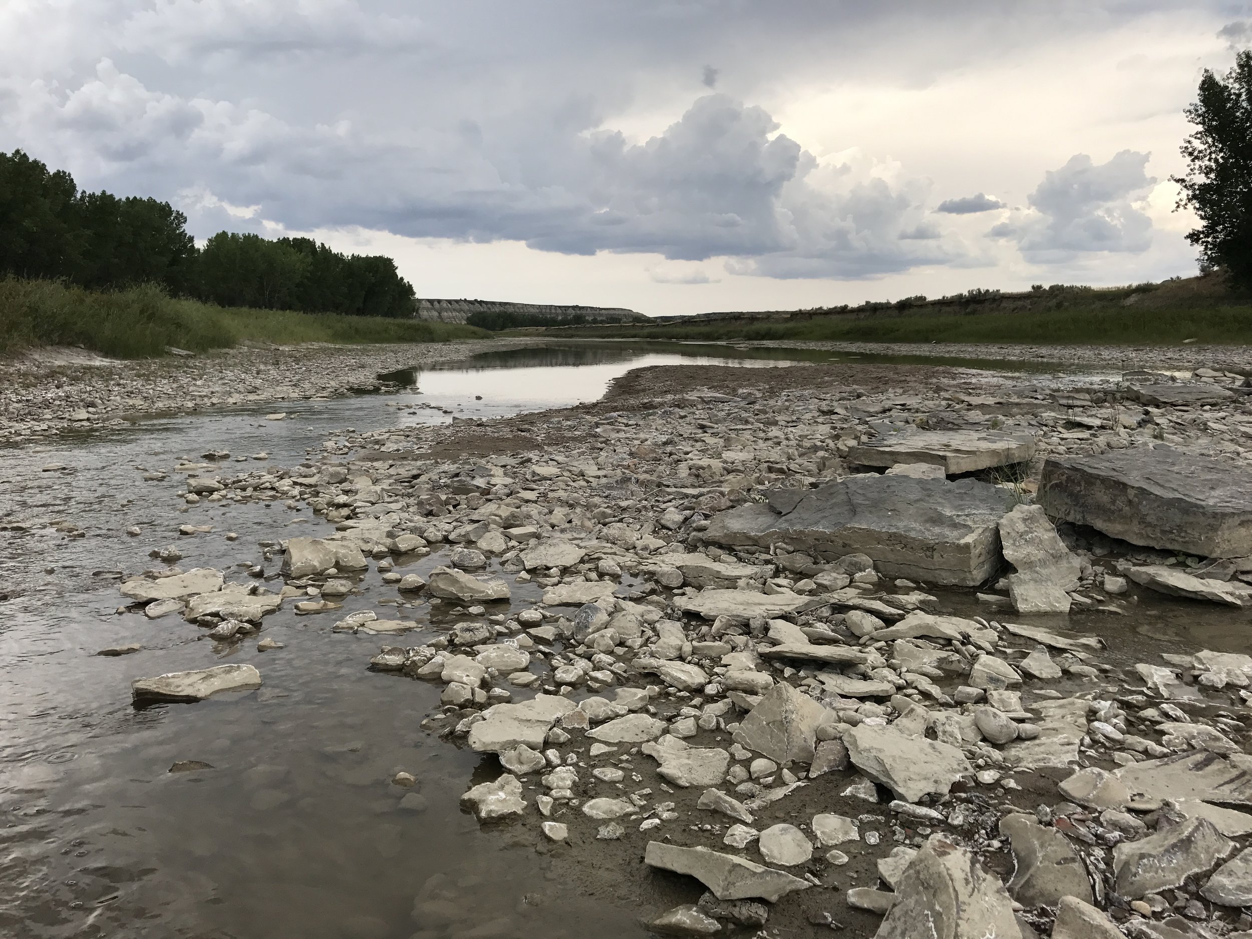 Current Issues Badlands Conservation Alliance