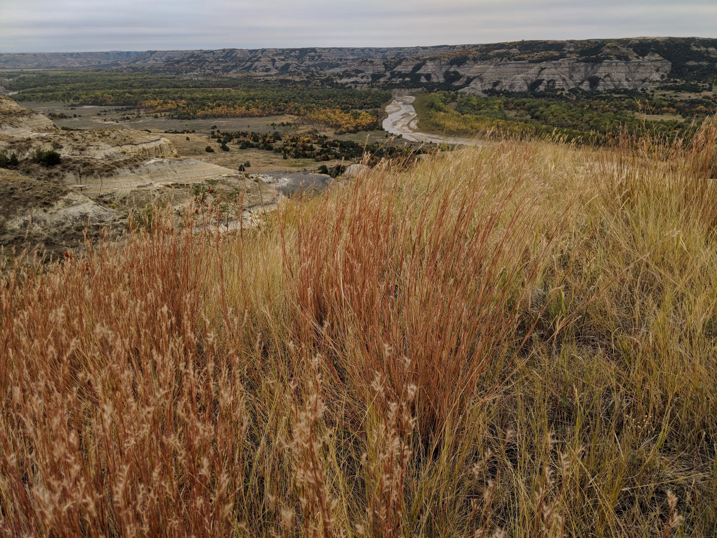North Unit Autumn Vista by Lillian Crook