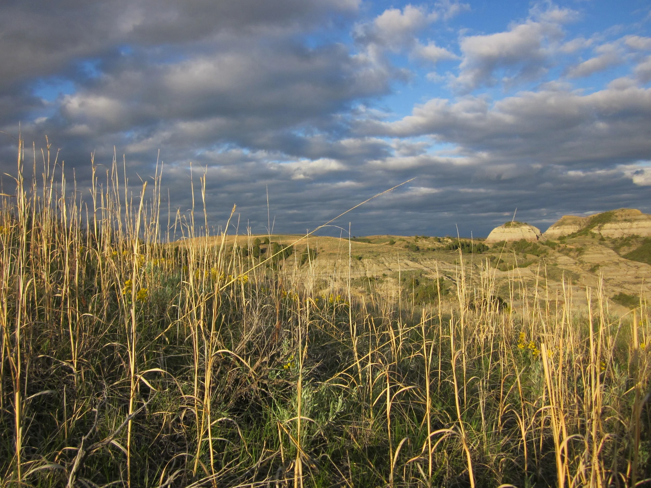 Getting Closer to the Little Missouri River