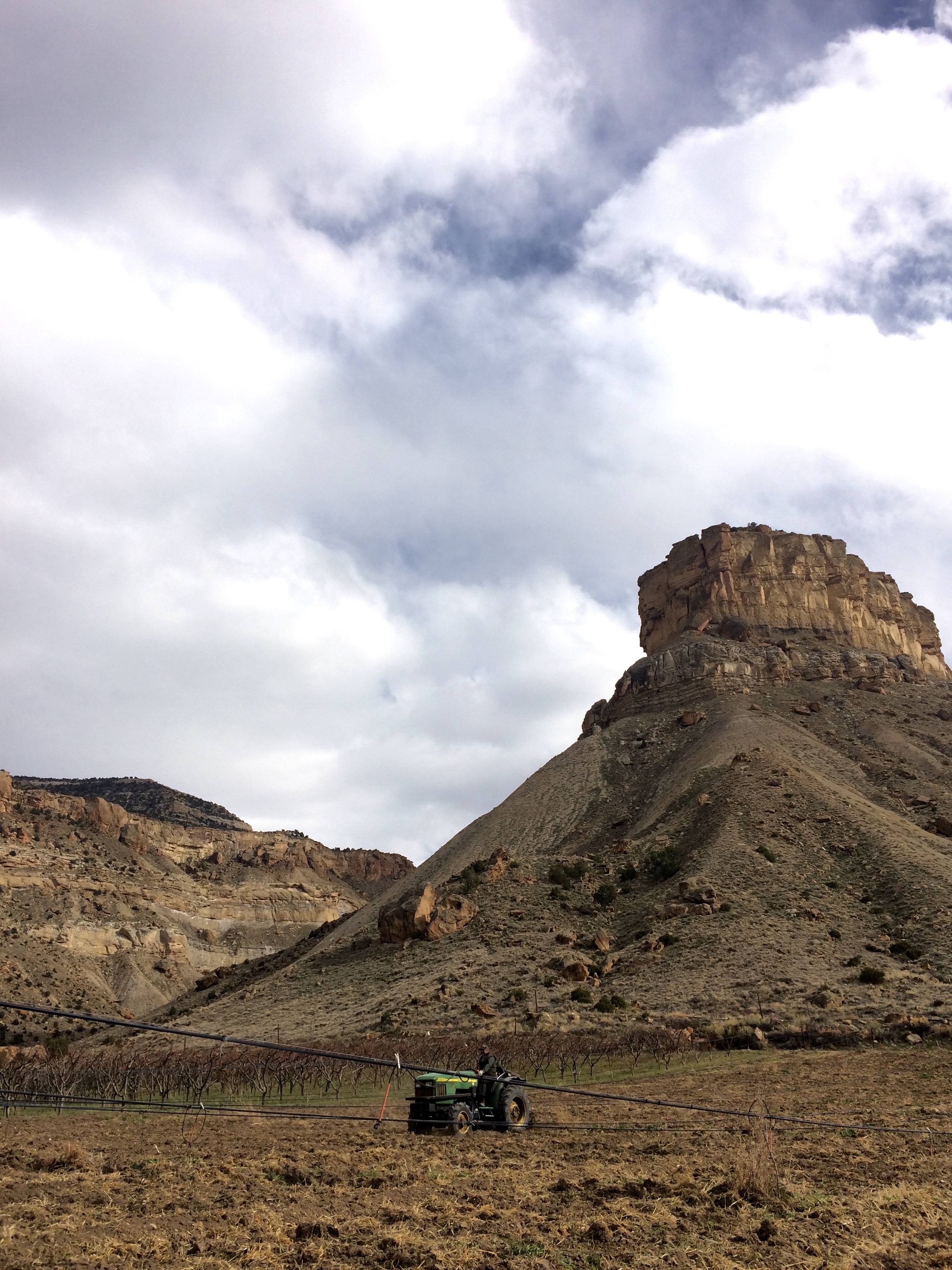 Thomas Cameron prospects for rocks. We'll replant this field in spring of 2017, and nurture the soil in the meantime. 