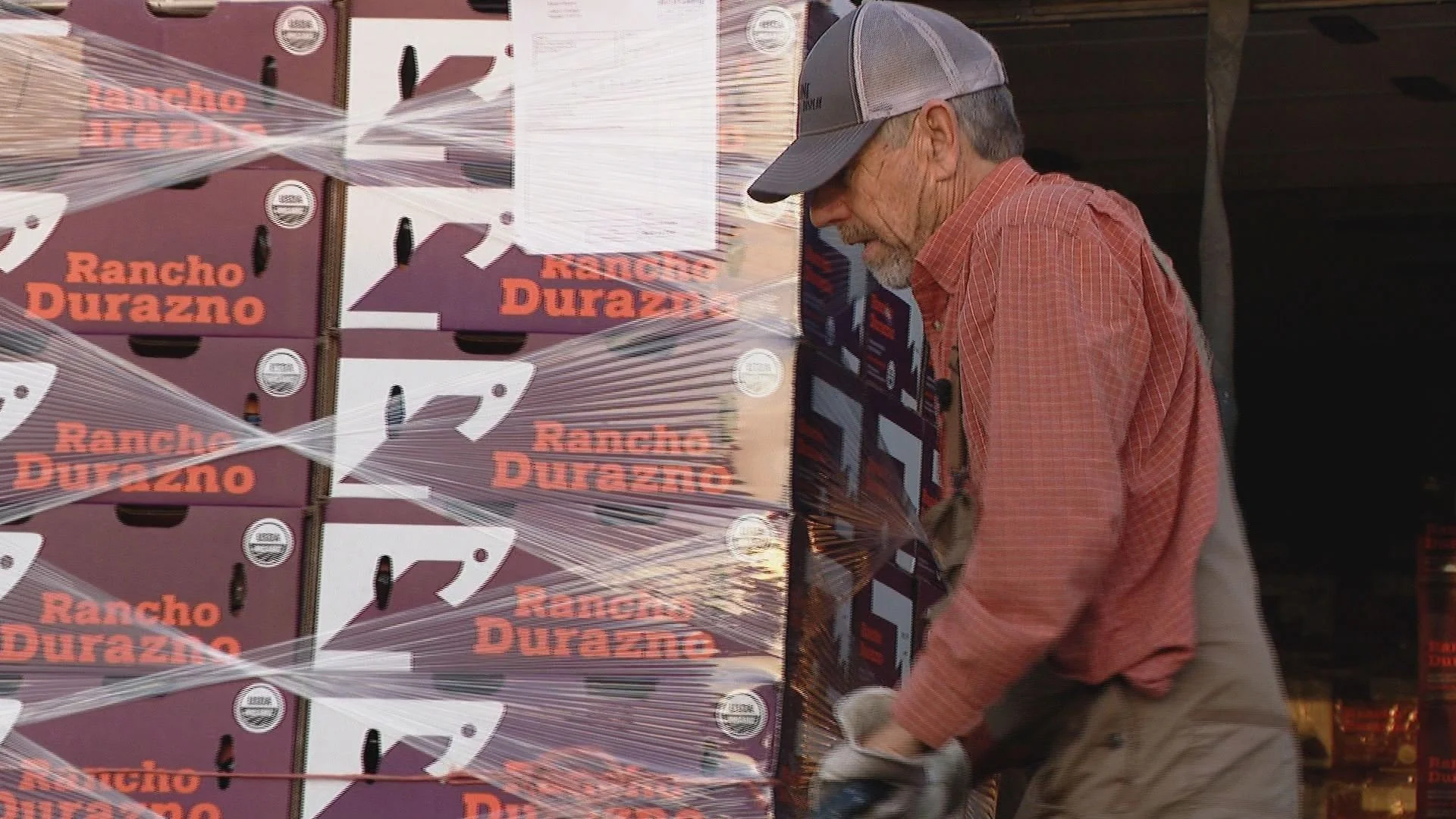 'A pretty incredible gift': From blossom to market on a Palisade peach farm