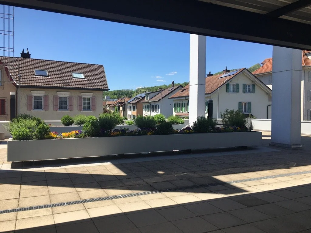 Rezital Olten 
