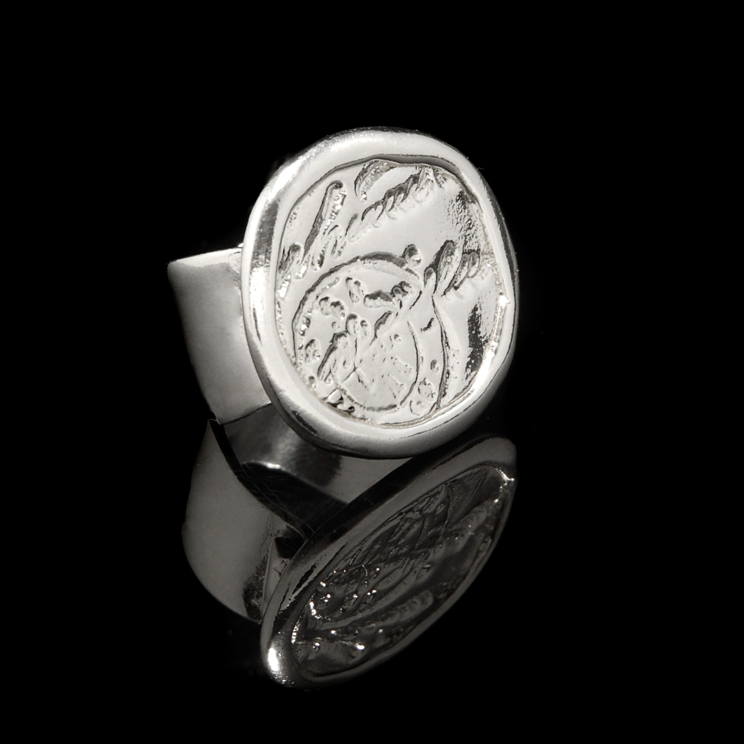 scripting passport ring.jpg
