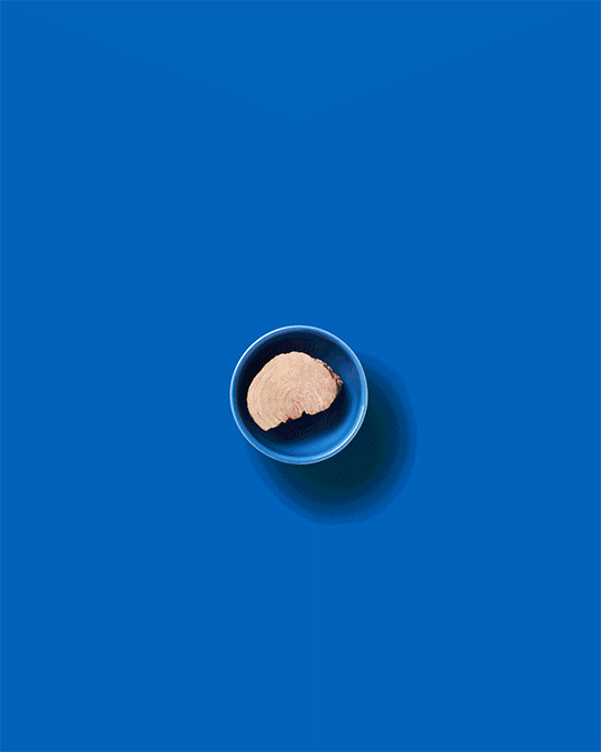 METADE-4x5-GDC-Topview-Tomatinho.gif