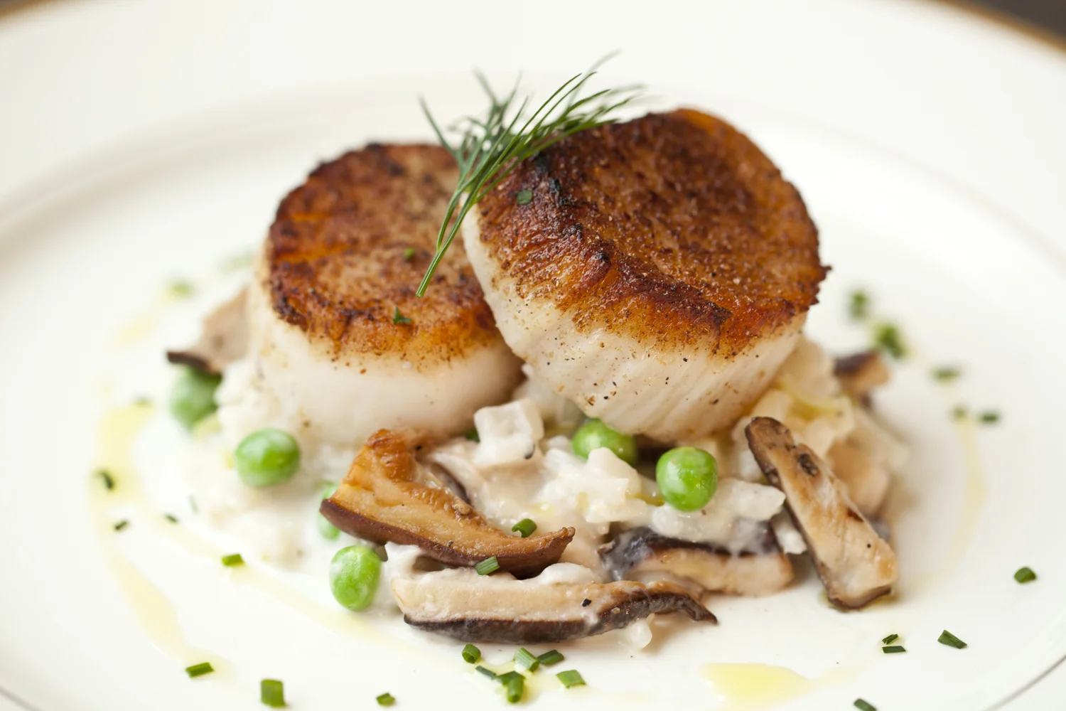 Wise_PDR_Food_188.jpg