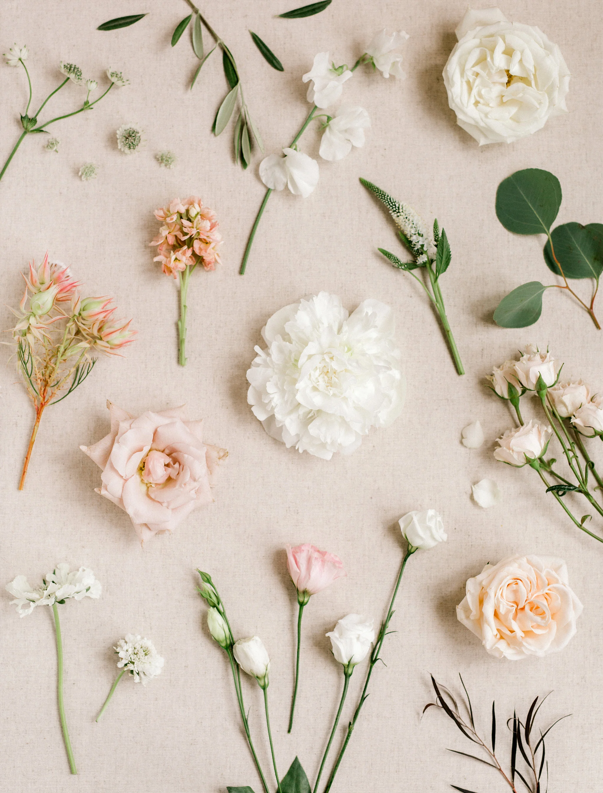 FlatLay002b.jpg