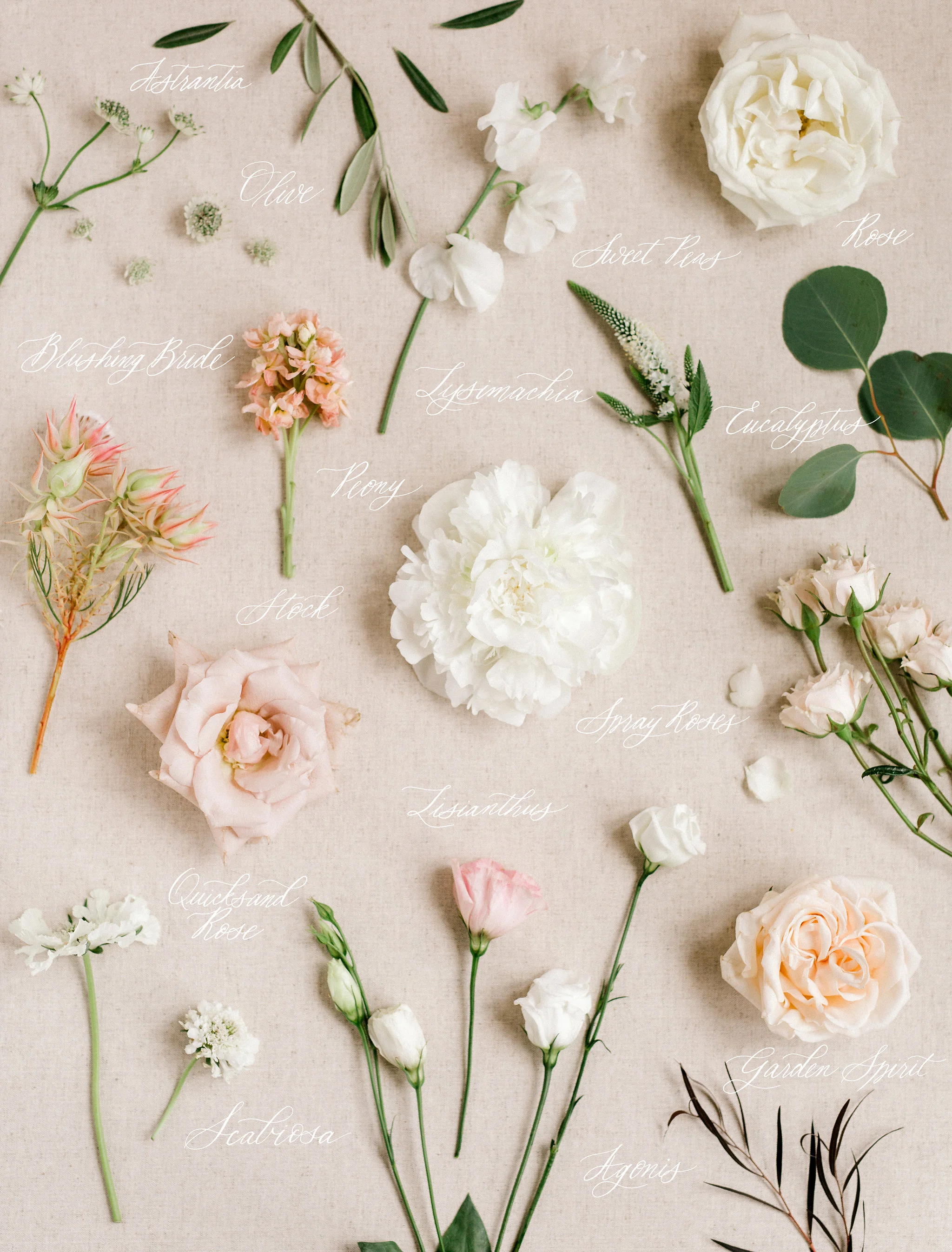 FlatLay002.jpg
