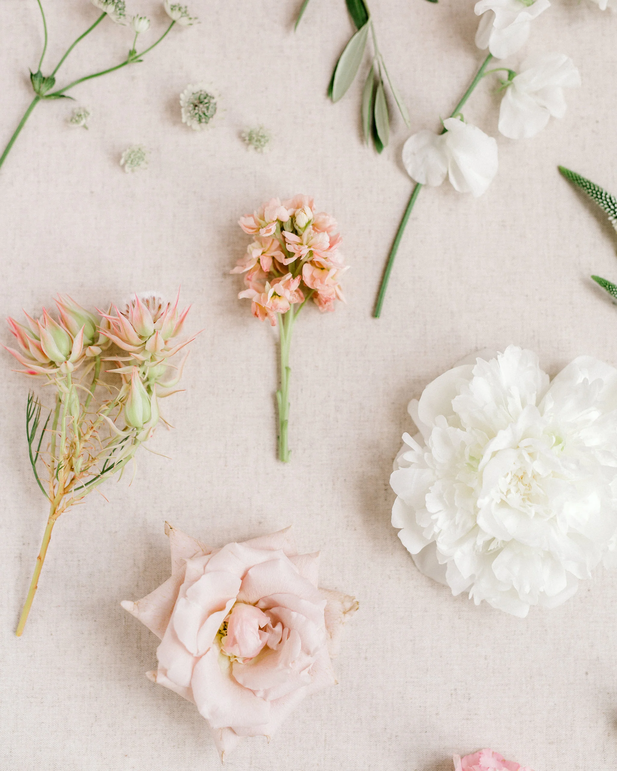 FlatLay006.jpg